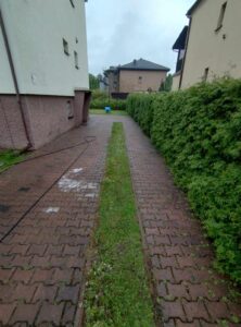 c13e8ff1 aacf 42fa b23d c8af8594a016